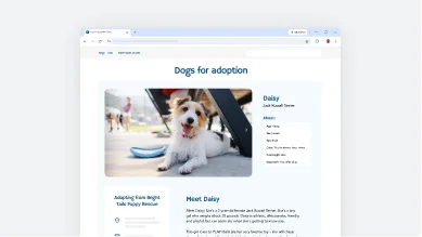 Chrome UI showing pet recommendations feature